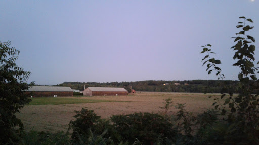 Supermarket «Big Y», reviews and photos, 1 E Silver St, Westfield, MA 01085, USA