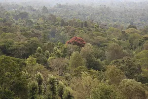 Arusha Tanzania image