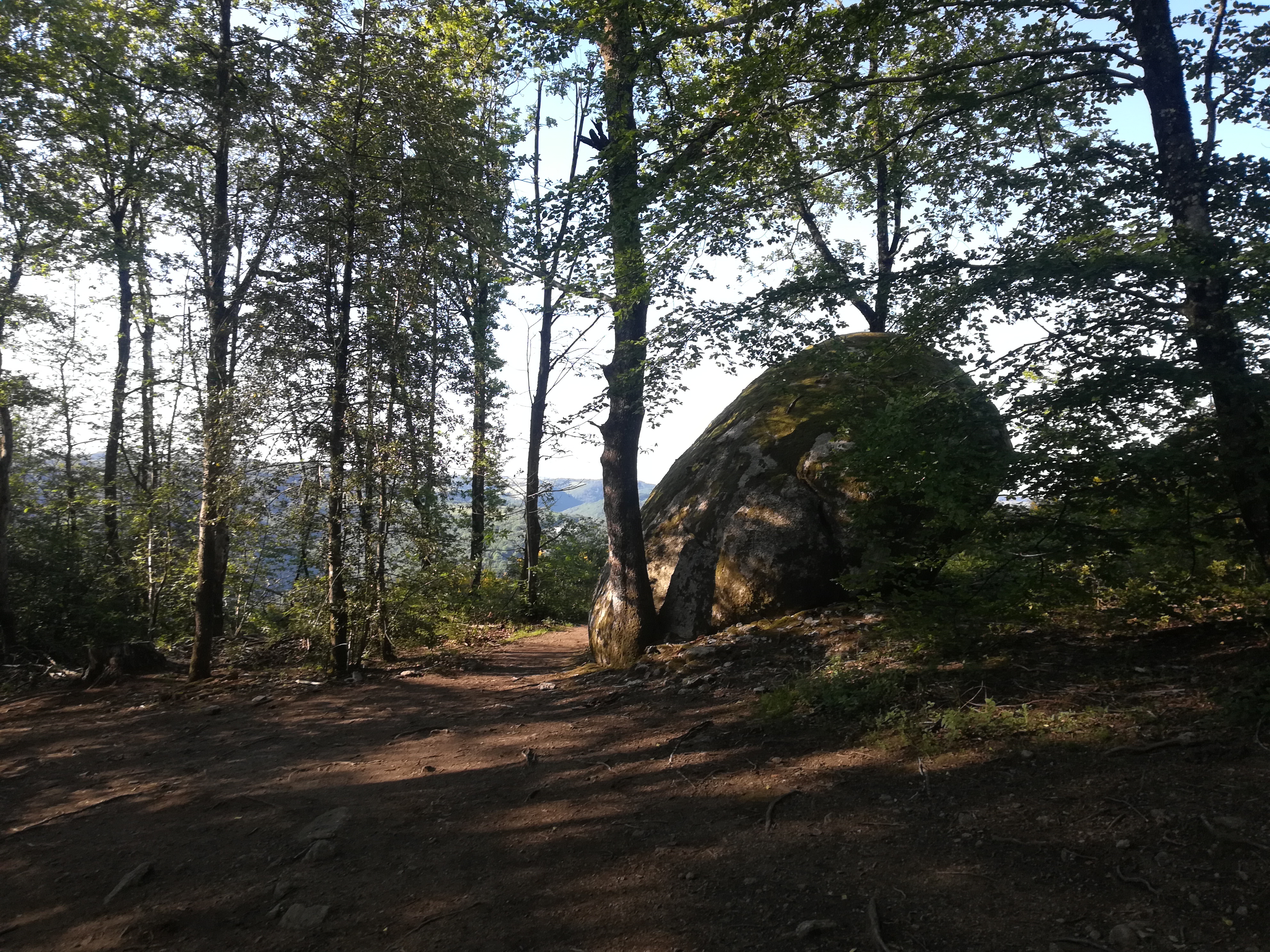 Photo n° 1 de l'avis de Gilles.i fait le 03/06/2019 à 09:45