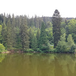 Photo n°3 de l'avis de Kaz.k fait le 26/07/2020 à 13:01 sur le  Restaurant & Café Bergseestüble à Triberg