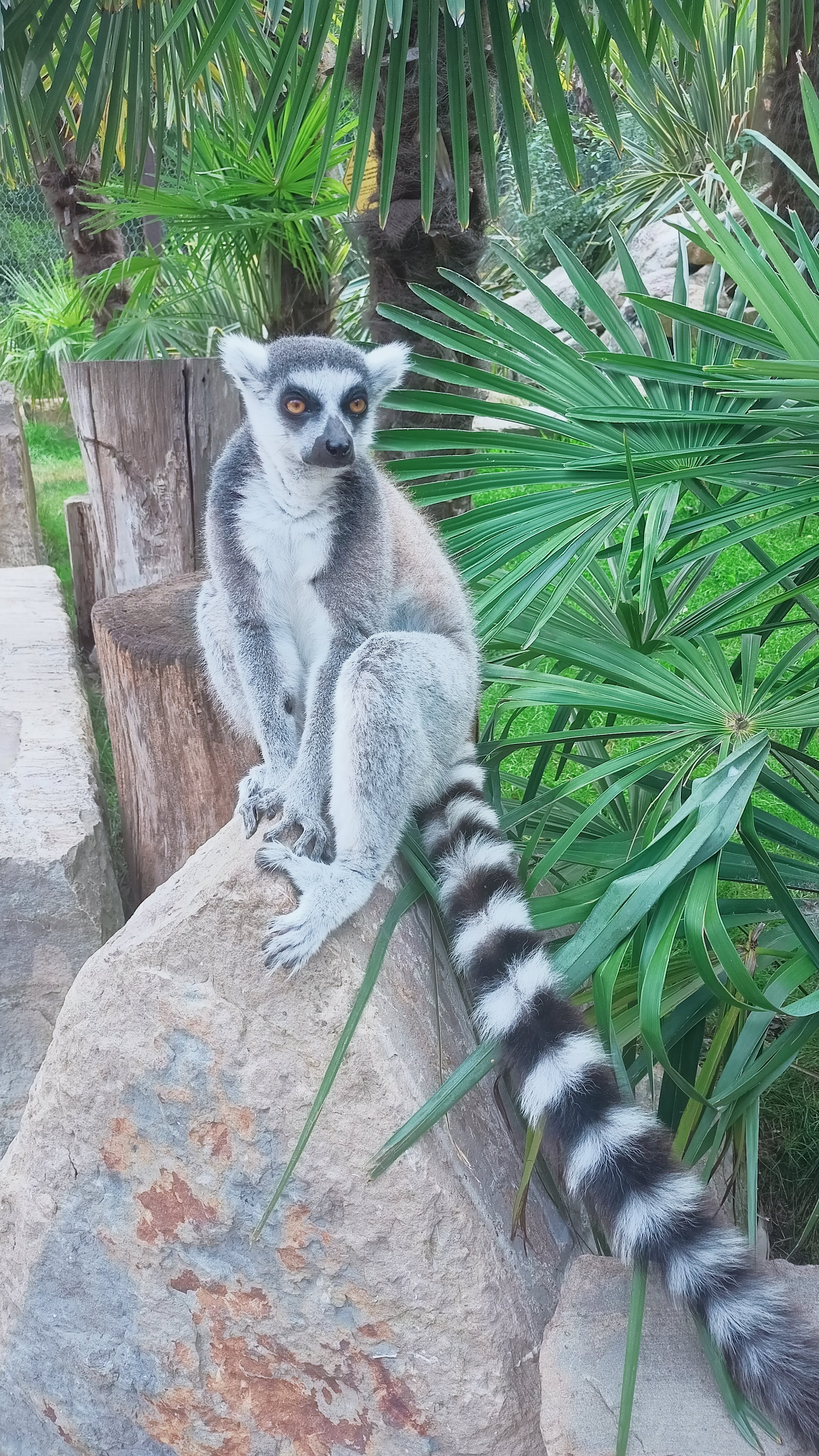 Photo n° 6 de l'avis de Tiffany.a fait le 20/08/2022 à 22:01