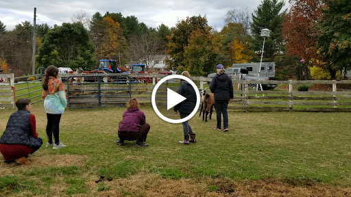 Farm «Dakota Ridge Farm», reviews and photos, 189 E High St, Ballston Spa, NY 12020, USA