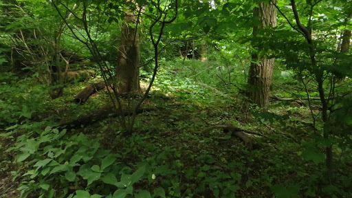 Movie Theater «AMC Loews Lincoln Square 13», reviews and photos, 1998 Broadway, New York, NY 10023, USA