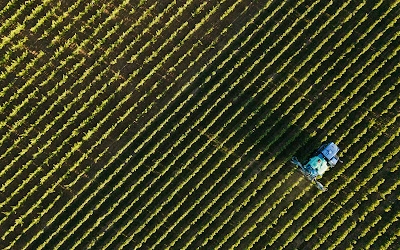 Domaine des Aubuisières à Vouvray