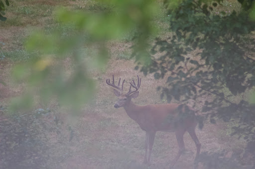 Golf Club «Frosty Valley Golf Links», reviews and photos, 2652 Hidden Valley Rd #201, Pittsburgh, PA 15241, USA