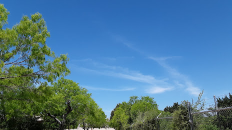 Tree Services Schertz