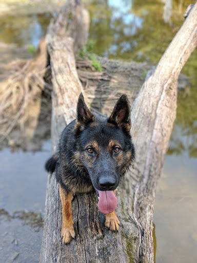 Park «Lippold Park - Fox Valley Park District», reviews and photos, 2001 S River St, Batavia, IL 60510, USA