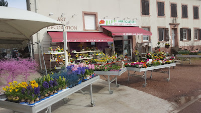 LA GRANGE AUX FLEURS à Sarreguemines