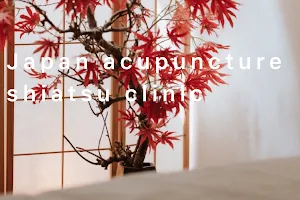 Japan acupuncture, acupunctuur shiatsu massage clinic image