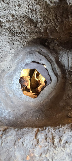 Nature Preserve «Swaner Preserve and EcoCenter», reviews and photos, 1258 Center Dr, Park City, UT 84098, USA