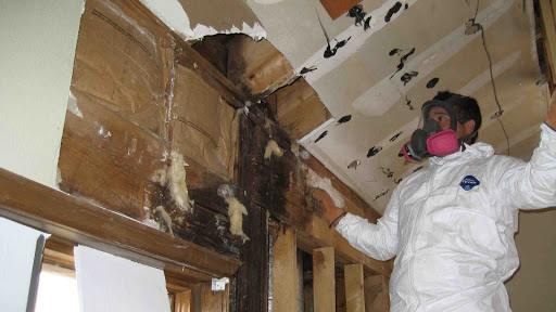 Building restoration service Mississauga