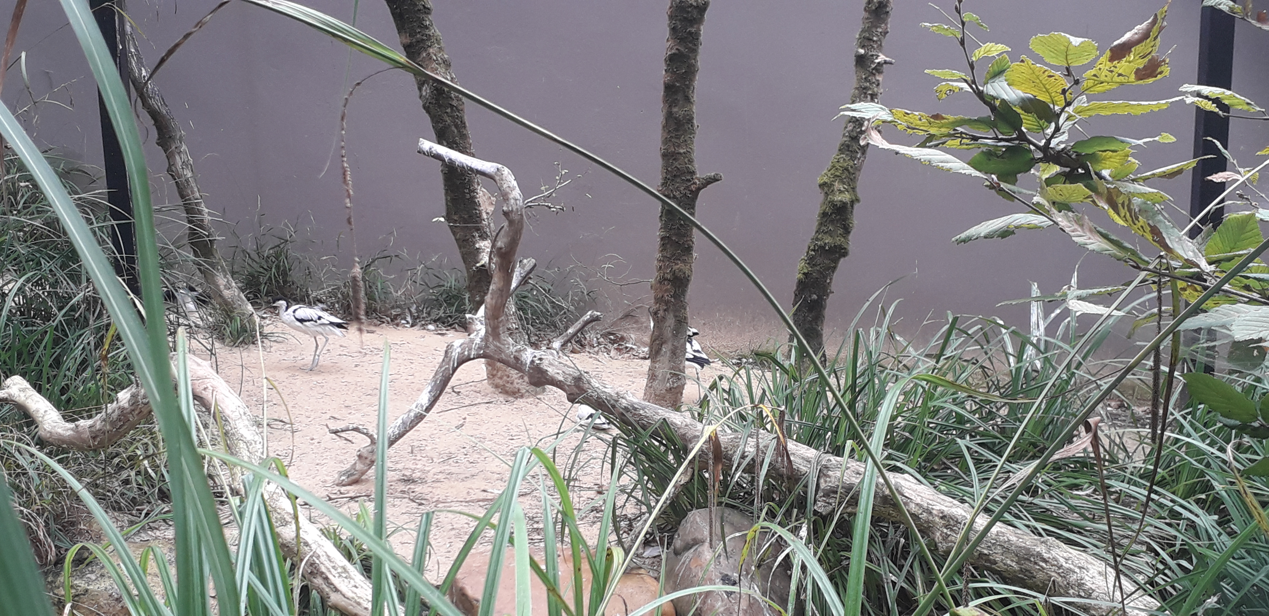 Photo n° 39 de l'avis de lilou.i fait le 19/09/2020 à 16:48