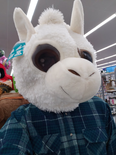 Department Store «Walmart Supercenter», reviews and photos, 150 Smith Rd, St Charles, IL 60174, USA