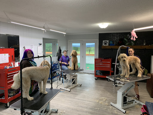 k-9 Bath Body & Boarding