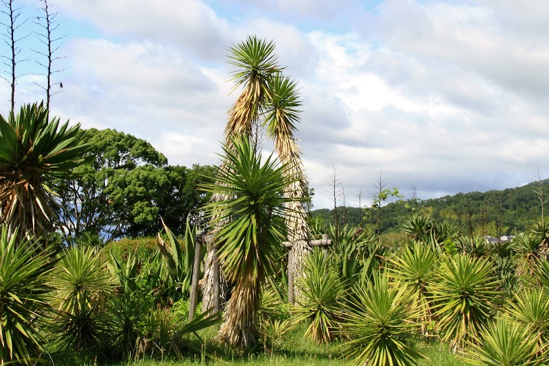 大阪市立大学理学部附属植物園事務所 大阪府交野市私市 植物園 グルコミ