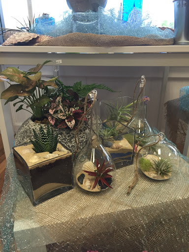 Florist «Zenplicity Florist», reviews and photos, 230 N Maple Ave, Marlton, NJ 08053, USA