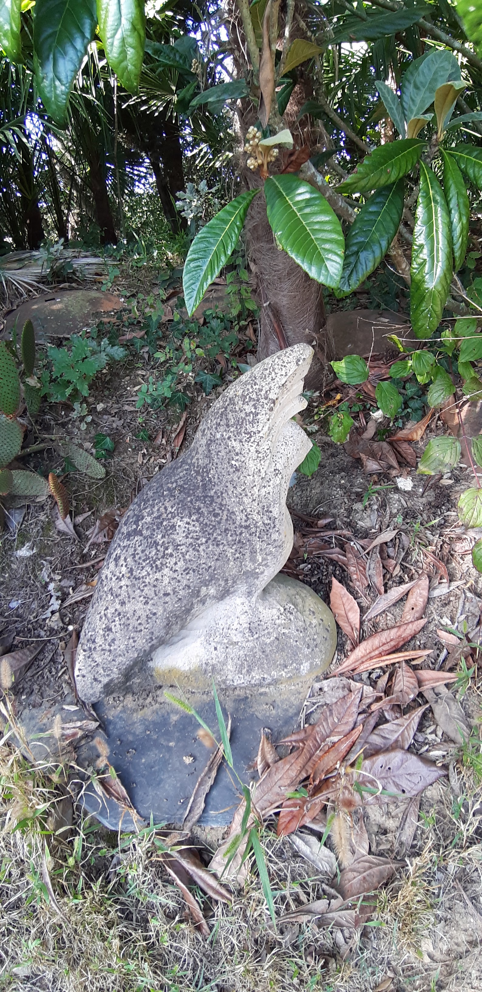 Photo n° 19 de l'avis de denis.o fait le 01/10/2019 à 12:55