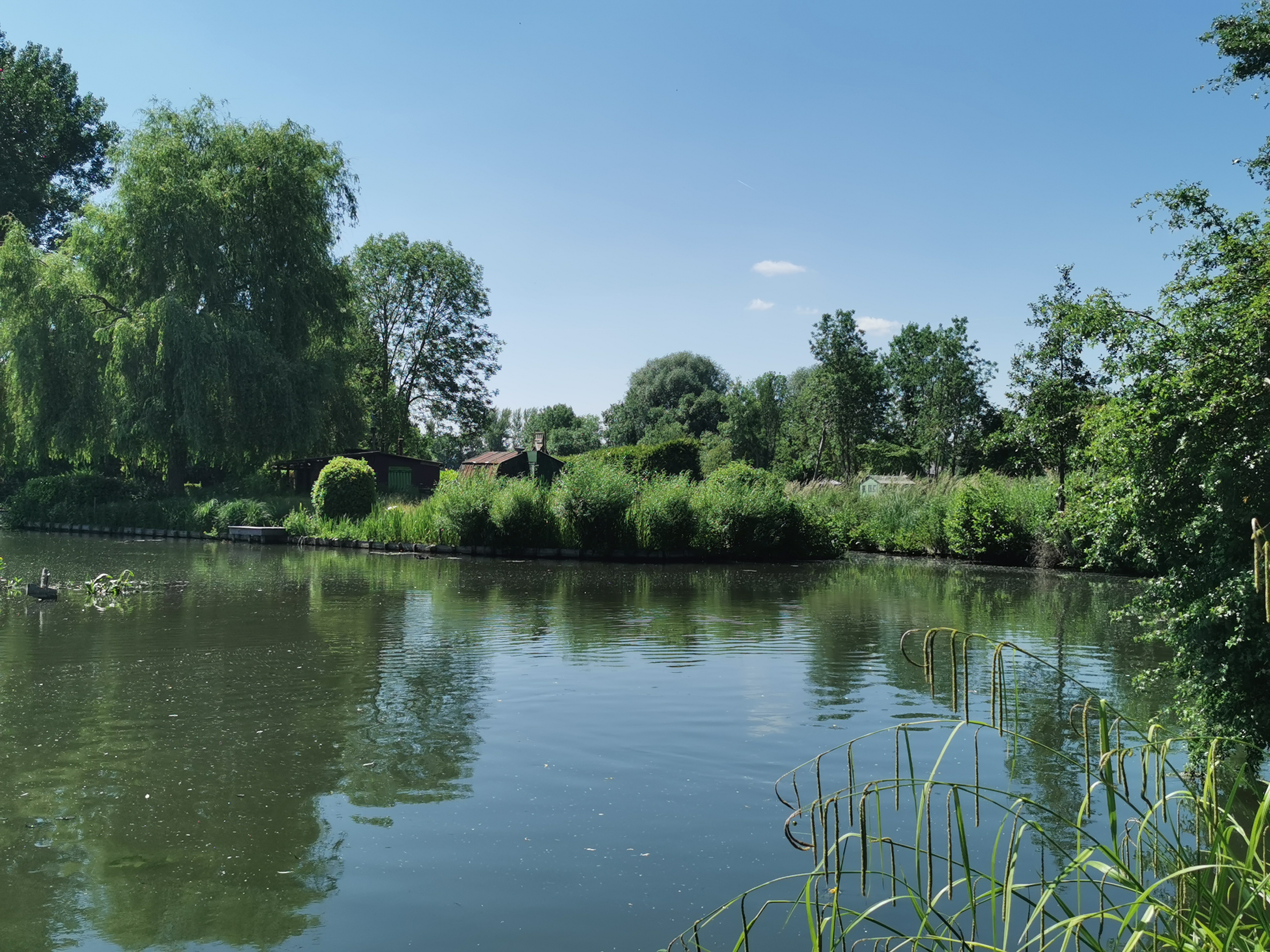Photo n° 9 de l'avis de pierre.a fait le 13/06/2021 à 15:46