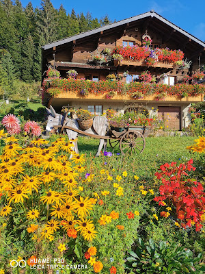 Chalets Daniel Lacroix SARL à Bois-d'Amont