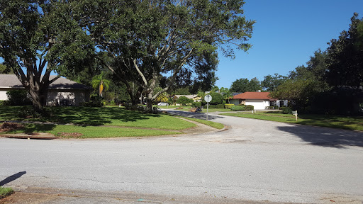 Golf Course «Countryside Country Club», reviews and photos, 3001 Countryside Blvd, Clearwater, FL 33761, USA