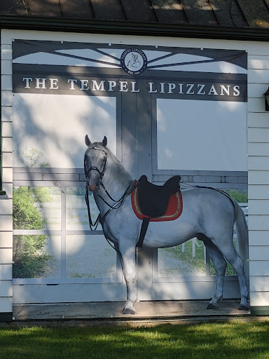 Tourist Attraction «The Tempel Lipizzans», reviews and photos, 17000 W Wadsworth Rd, Old Mill Creek, IL 60083, USA