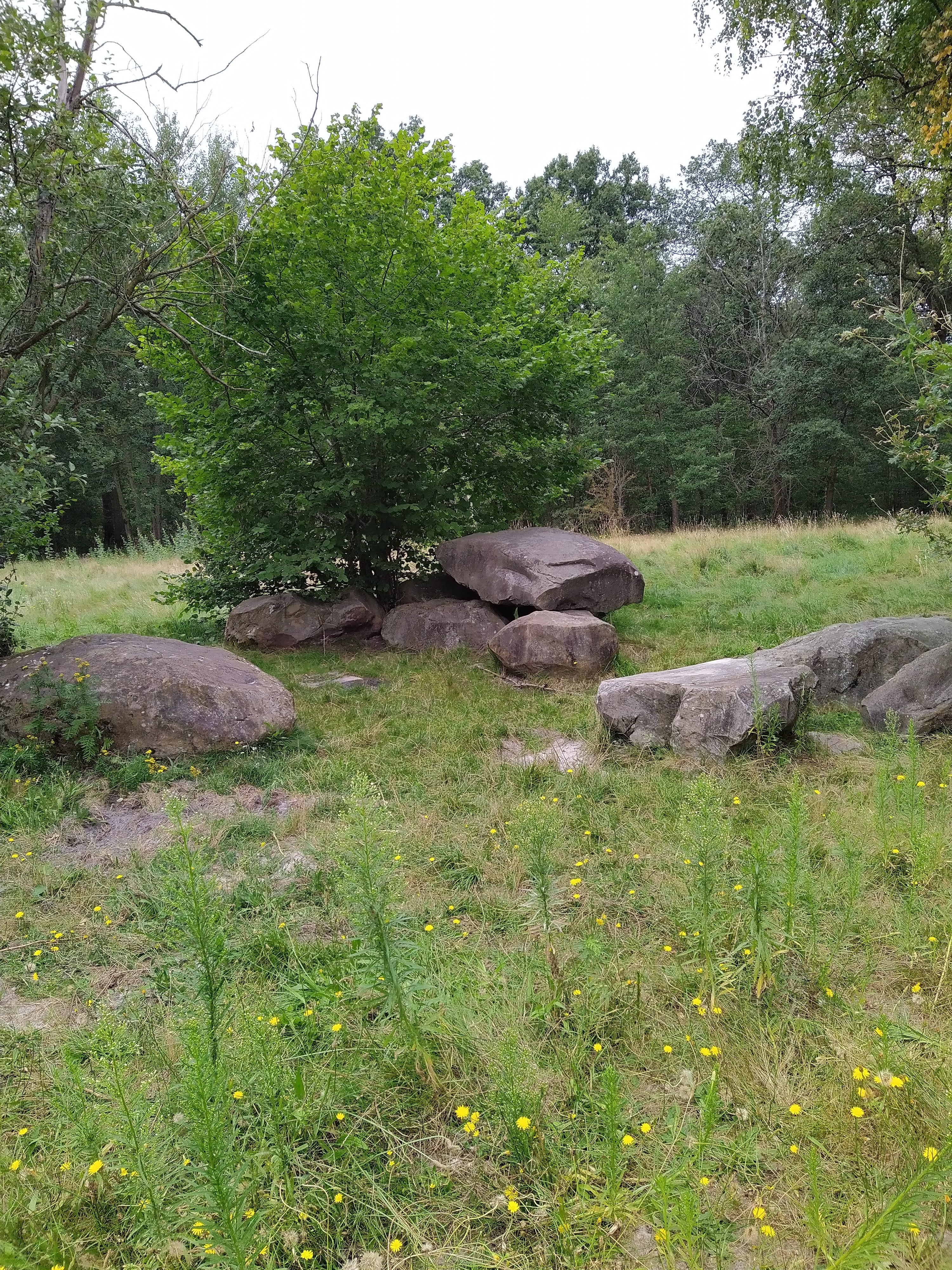 Photo n° 6 de l'avis de regis.e fait le 18/08/2021 à 06:01
