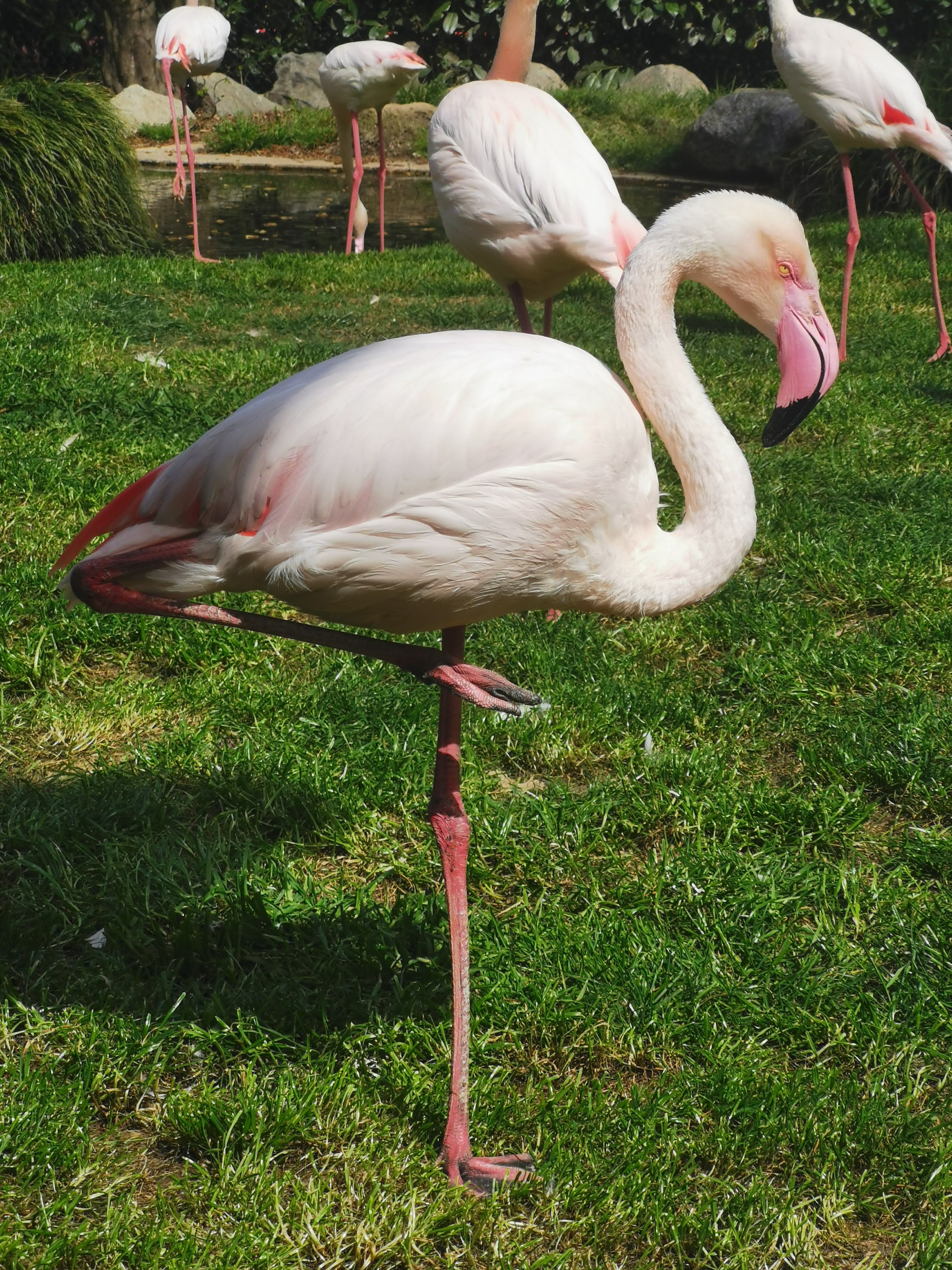 Photo n° 4 de l'avis de Boulay.i fait le 13/04/2023 à 09:53