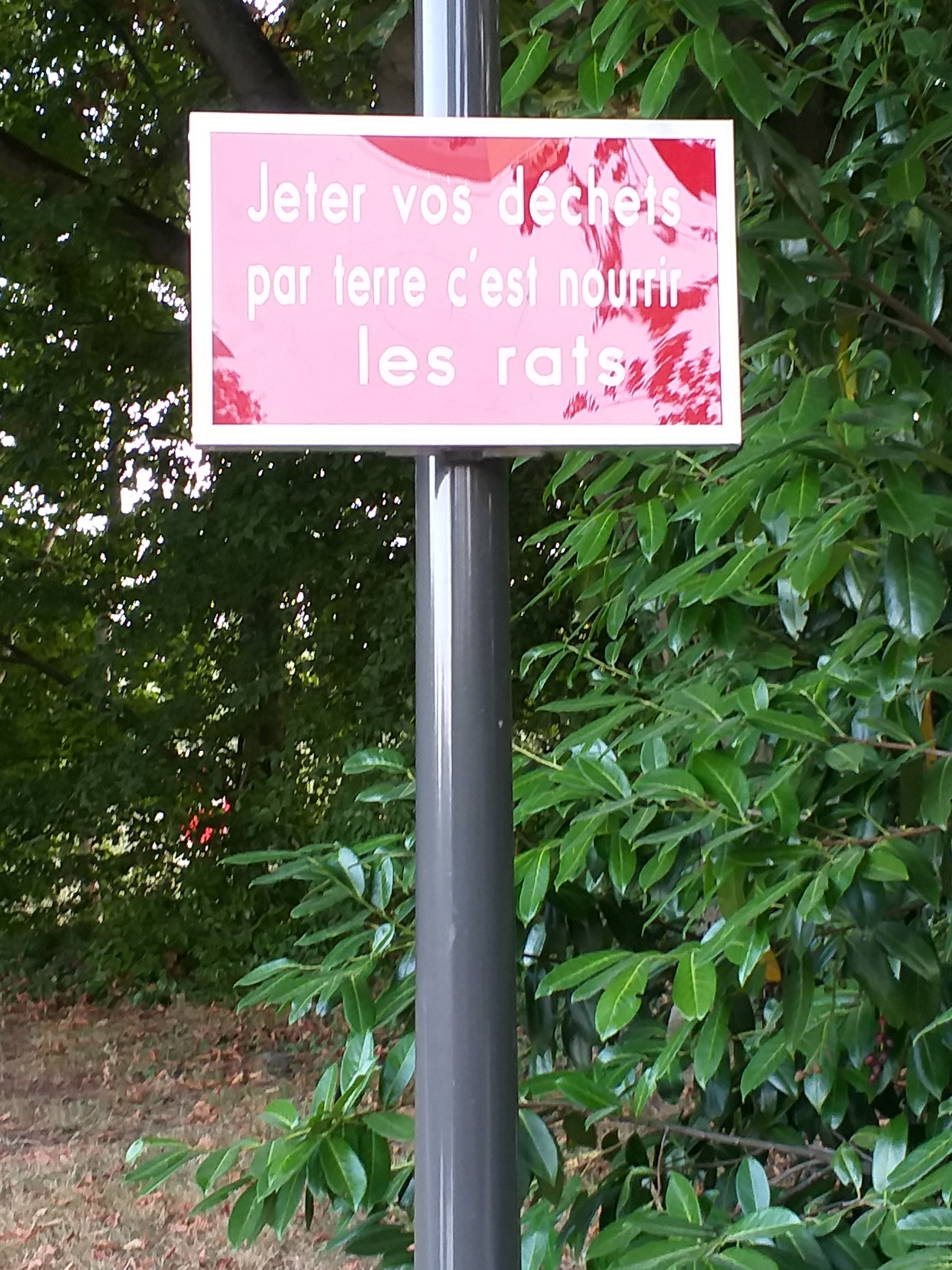 Photo n° 1 de l'avis de Myriam.a fait le 19/07/2019 à 20:34