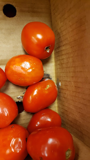 Supermarket «ALDI», reviews and photos, 2618 Pleasant Hill Rd, Duluth, GA 30096, USA