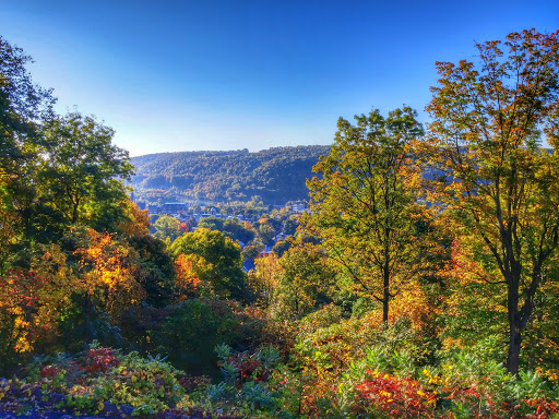 Lodging «D.H.Burrell Overlook Mansion», reviews and photos, 55 Douglas St, Little Falls, NY 13365, USA