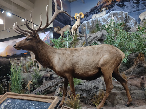 Outdoor Sports Store «Field & Stream», reviews and photos, 1510 Polaris Pkwy B, Columbus, OH 43240, USA