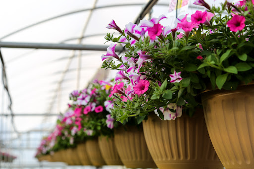 Plant Nursery «Blooming Acres», reviews and photos, 7561 State Rd, Wadsworth, OH 44281, USA