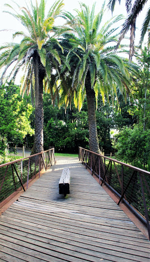 Parque Hamilton en Tacoronte