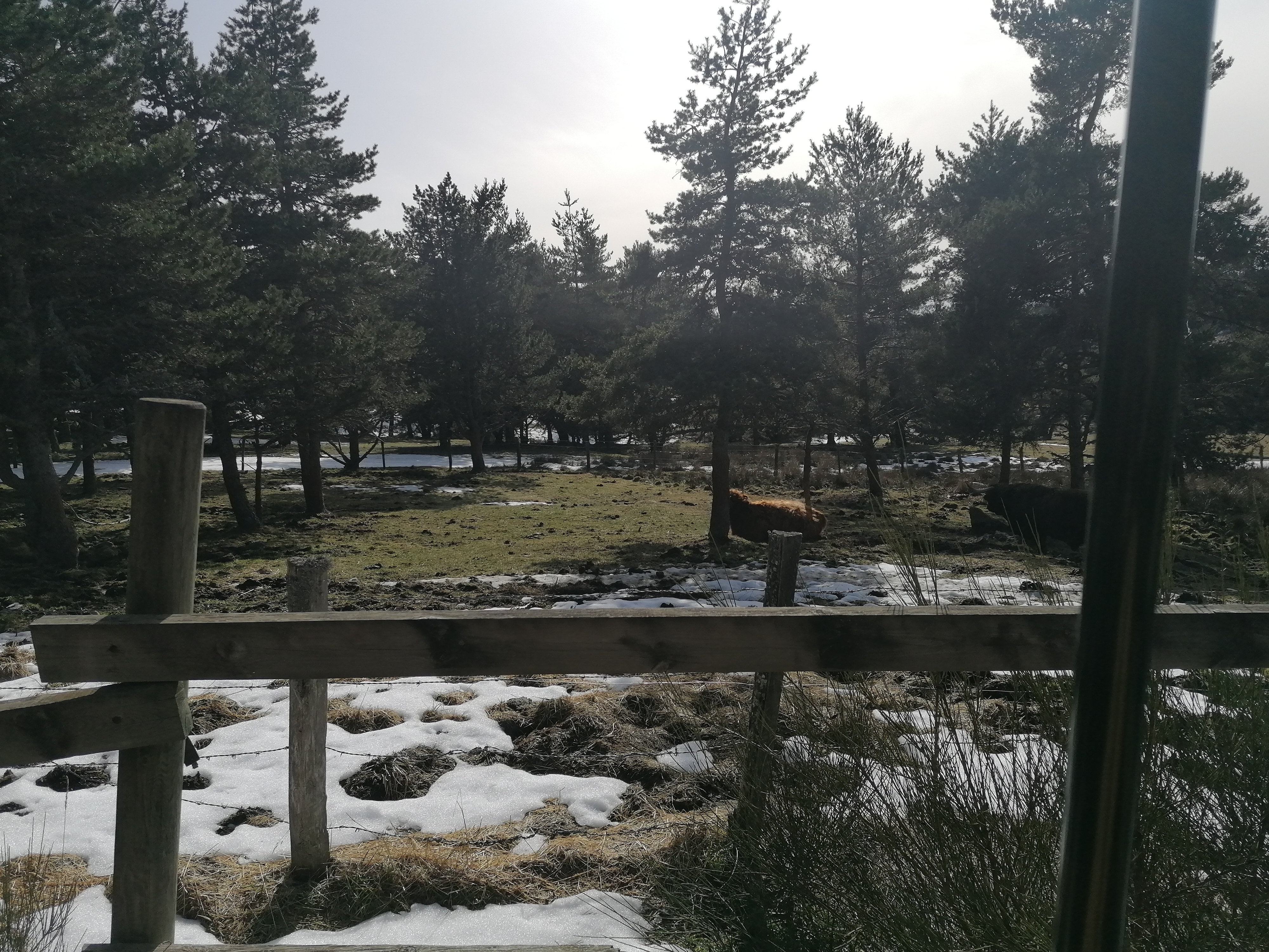 Photo n° 2 de l'avis de Mitch.4 fait le 25/02/2023 à 21:08