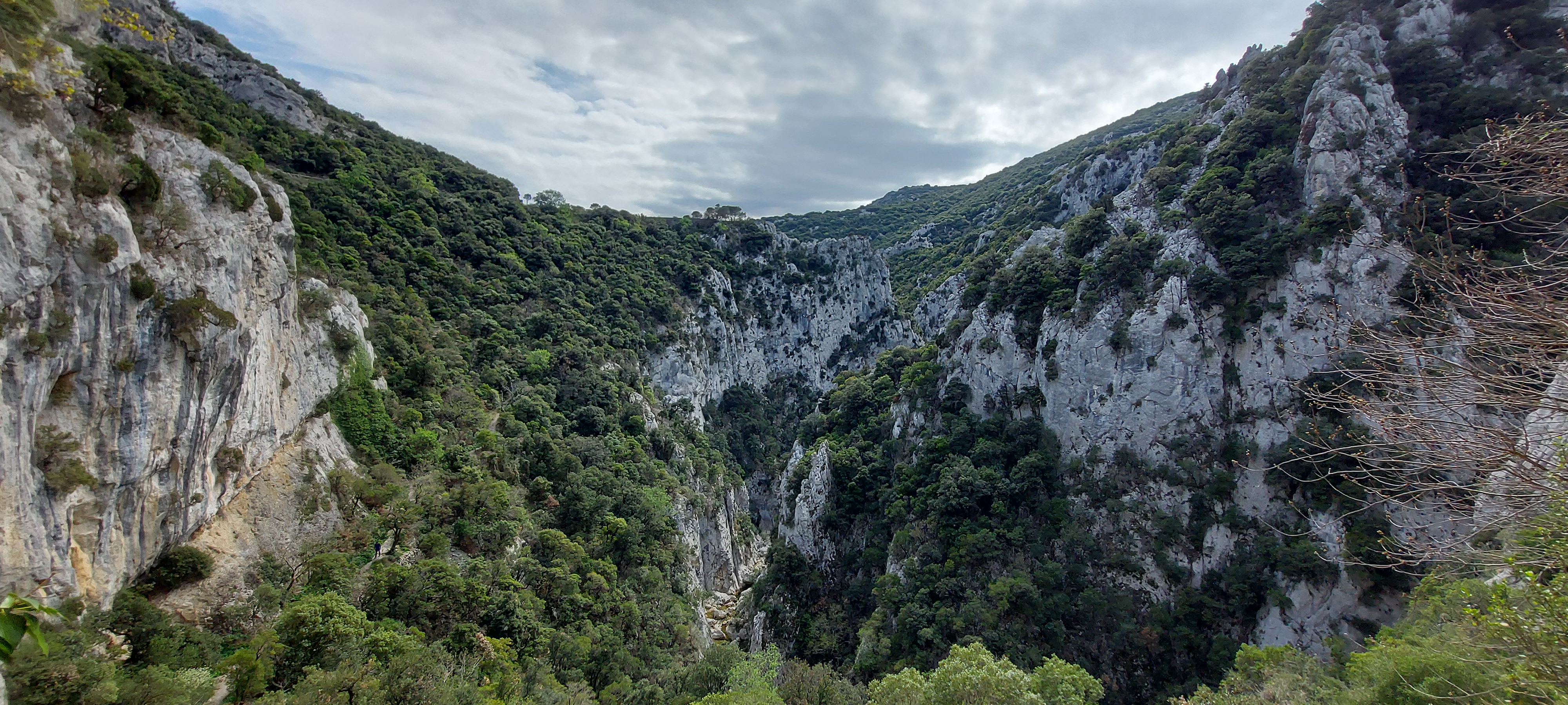 Photo n° 5 de l'avis de SE.A fait le 15/04/2023 à 16:37