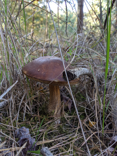 Nature Preserve «Beaverton Creek Wetlands Natural Area», reviews and photos, SW 153rd Dr, Beaverton, OR 97006, USA