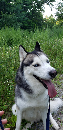 State Park «Blue Hills Reservation», reviews and photos, 695 Hillside St, Milton, MA 02186, USA