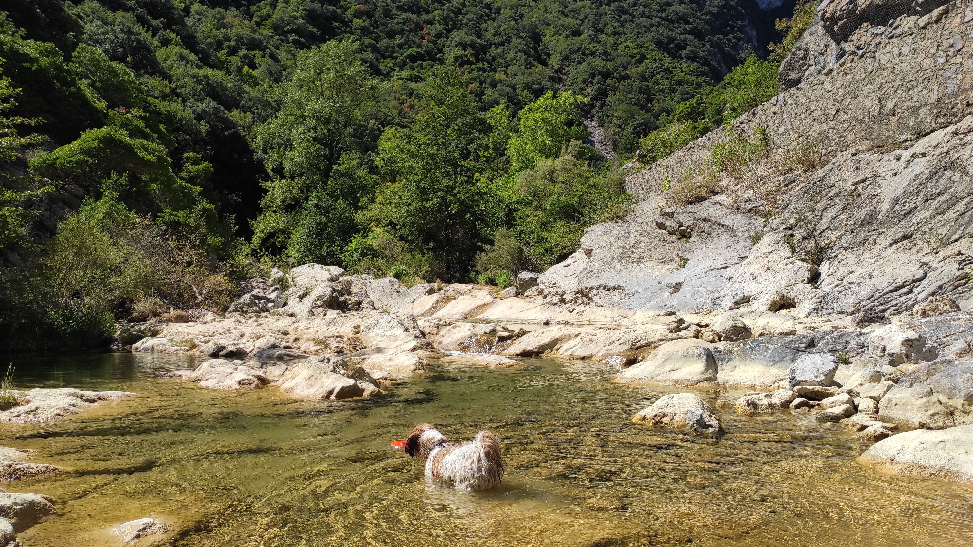 Photo n° 1 de l'avis de Winny.l fait le 31/08/2020 à 14:36