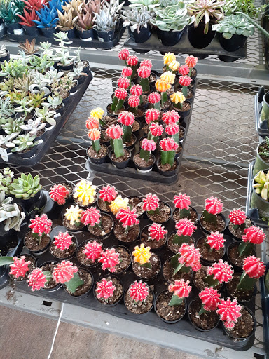 Home Improvement Store «The Home Depot», reviews and photos, 14085 Northwest Fwy, Houston, TX 77040, USA