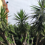 Photo n°3 de l'avis de Bernard.e fait le 02/06/2022 à 15:52 sur le  Hotel Parco à Gragnano