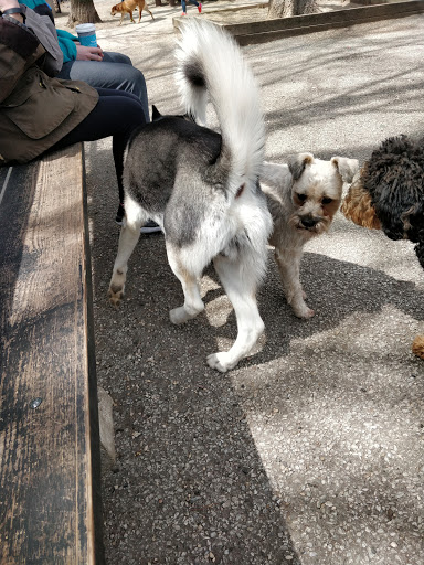 Dog Park «Wiggly Field Dog Friendly Area», reviews and photos, 2645 N Sheffield Ave, Chicago, IL 60614, USA