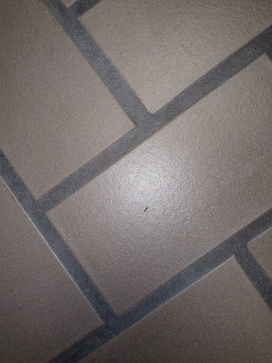 Car Dealer «Vicksburg Chrysler Dodge Jeep Ram», reviews and photos, 13475 Portage Rd, Vicksburg, MI 49097, USA