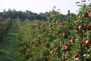 Sunrise Orchards, Inc. image