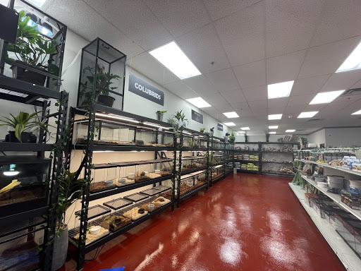 The Reptile Store