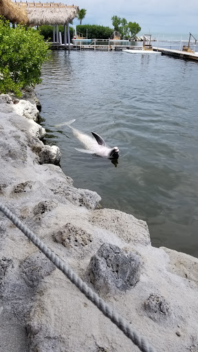 Aquarium «Florida Keys Aquarium Encounters», reviews and photos, 11710 Overseas Hwy, Marathon, FL 33050, USA