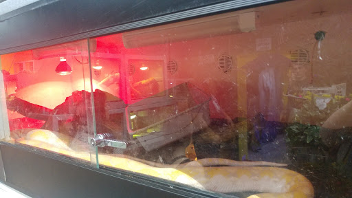 Pet Store «CUSTOM CREATURES PET SHOP», reviews and photos, 10727 N 19th Ave, Phoenix, AZ 85029, USA