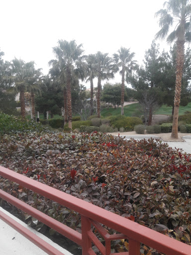 Golf Course «Rhodes Ranch Golf Club», reviews and photos, 20 E Rhodes Ranch Pkwy, Las Vegas, NV 89148, USA