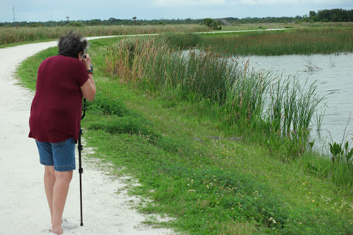 Wetland «Viera Wetlands», reviews and photos, 10001 N Wickham Rd, Melbourne, FL 32940, USA