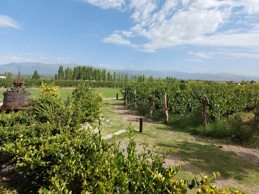 Bodega VIAMONTE