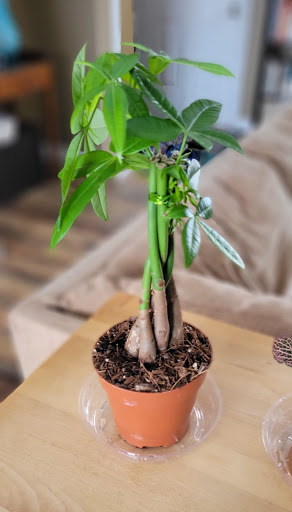 Garden Center «Chesterton Feed & Garden Center», reviews and photos, 400 Locust St, Chesterton, IN 46304, USA